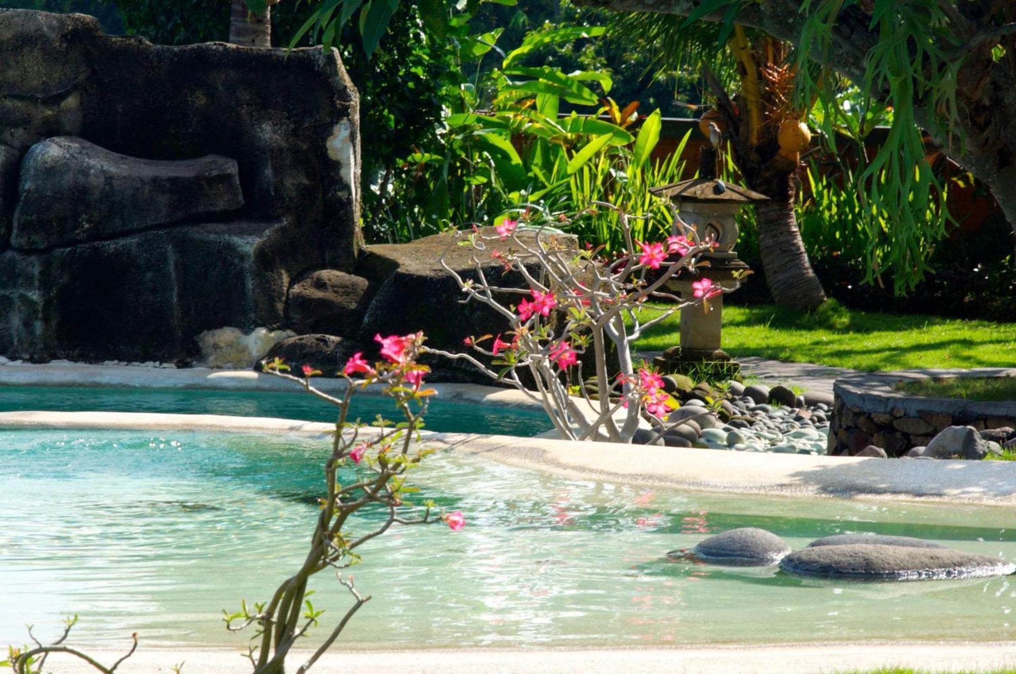 Villa Bali Pondok Jepang Lovina Dış mekan fotoğraf